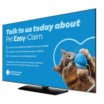TV screen
