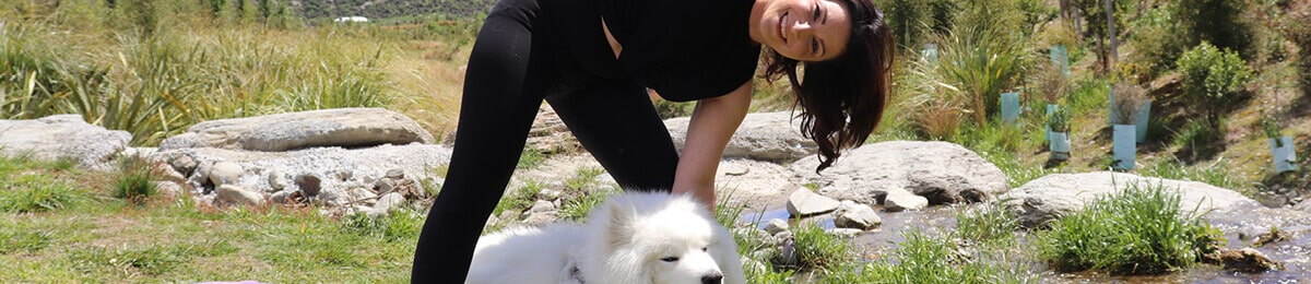 Dog yoga for dog health banner