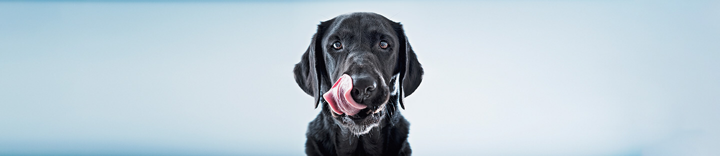 Top food-related claims