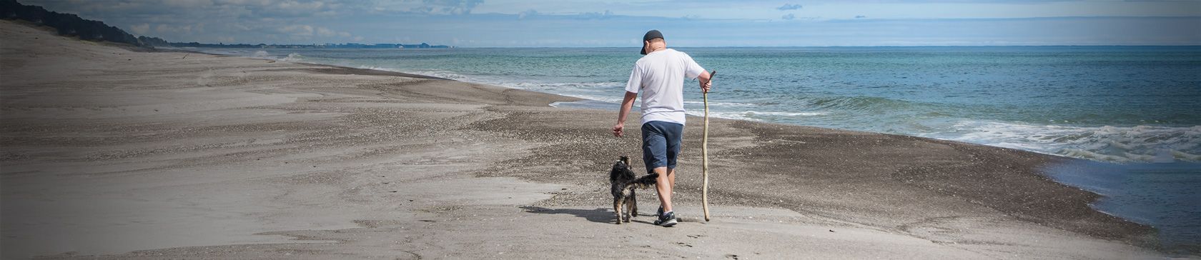 Keeping your pet safe around storm water
