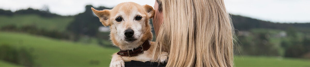 Pet Refuge helping animals in need