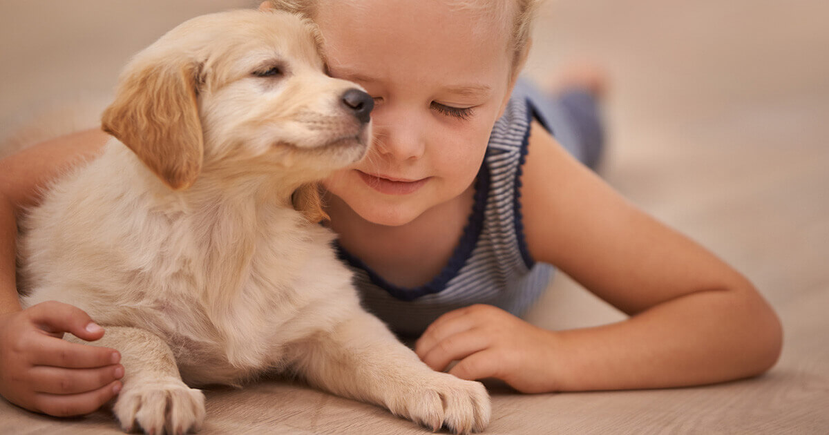 Why are puppies so cute? Southern Cross Pet Insurance