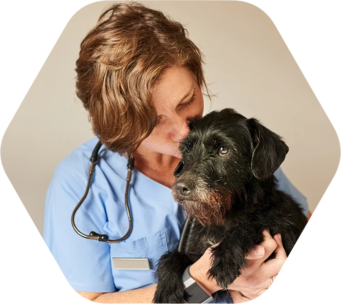 Pets can unleash your wellbeing potential