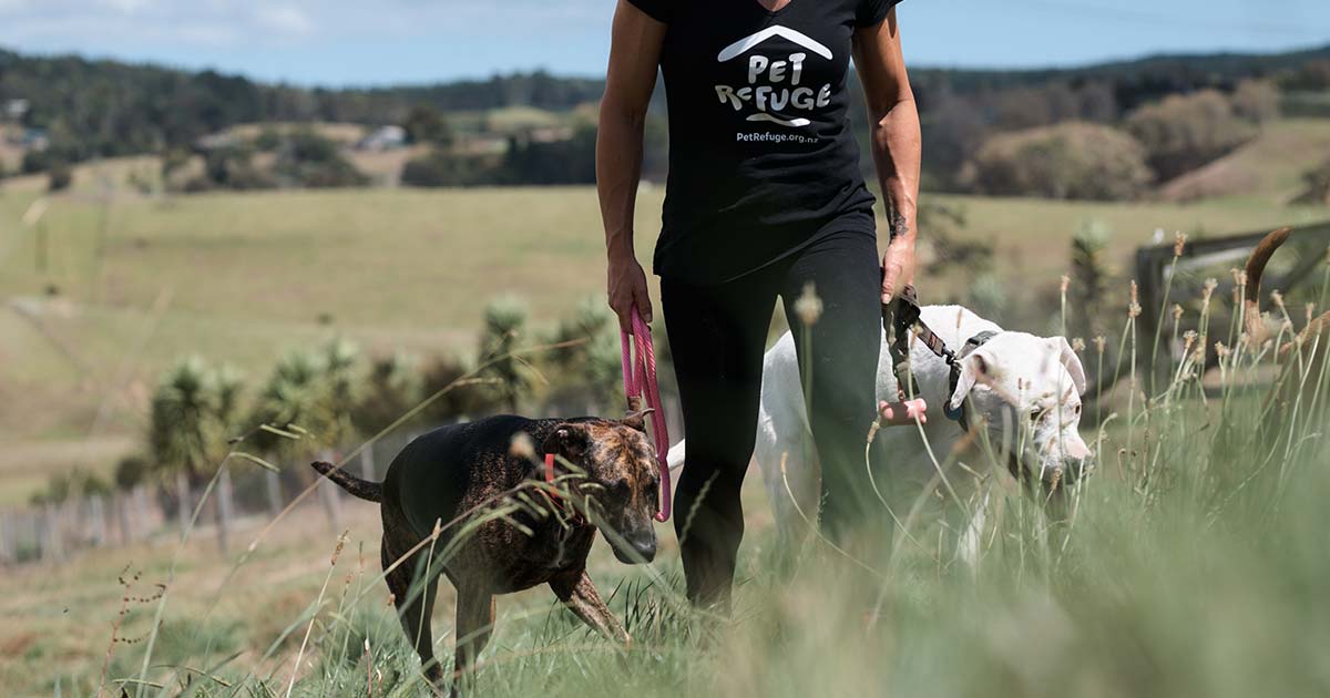 Stepping up for Pet Refuge Southern Cross Pet Insurance