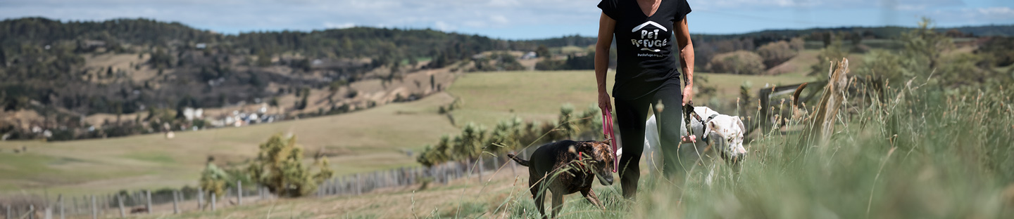 Stepping up for Pet Refuge