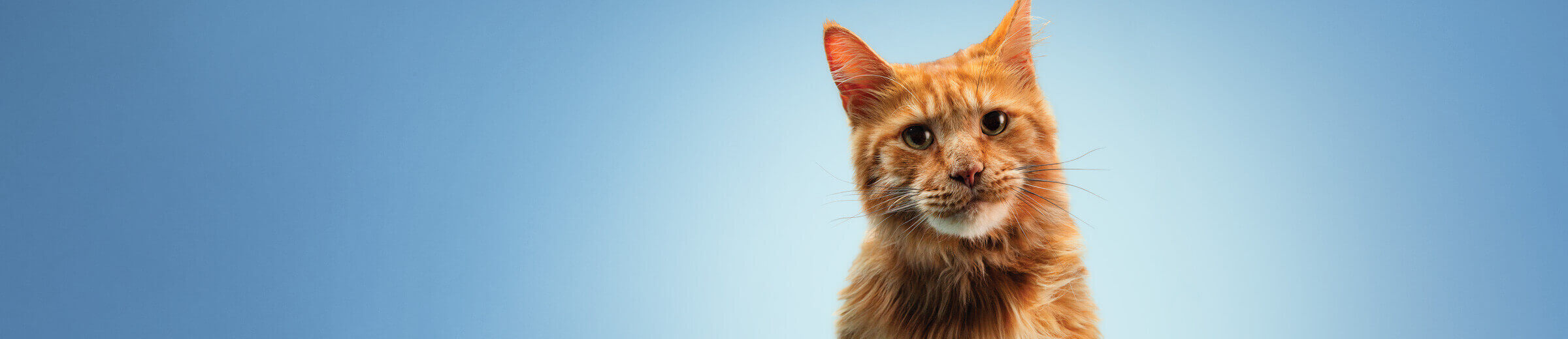 Partner resource hub