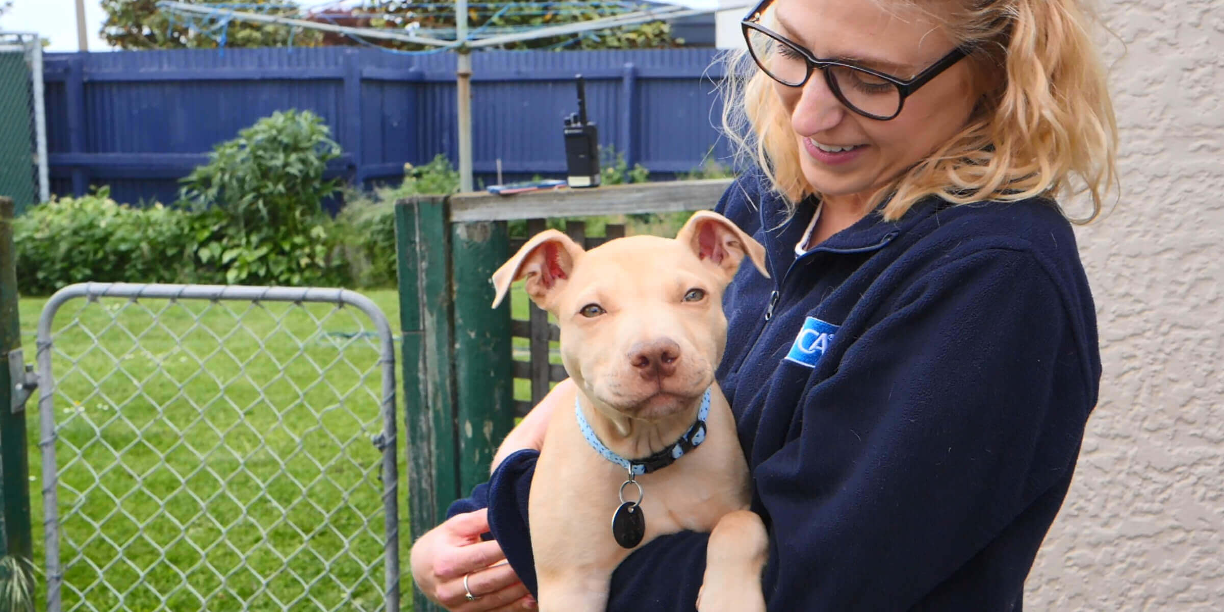 Why SPCA insurance Southern Cross Pet Insurance Why SPCA insurance Southern Cross Pet Insurance