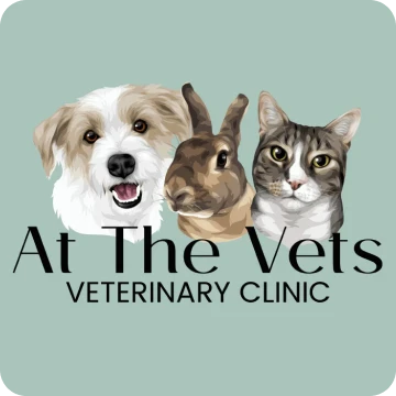 At the Vets, Christchurch