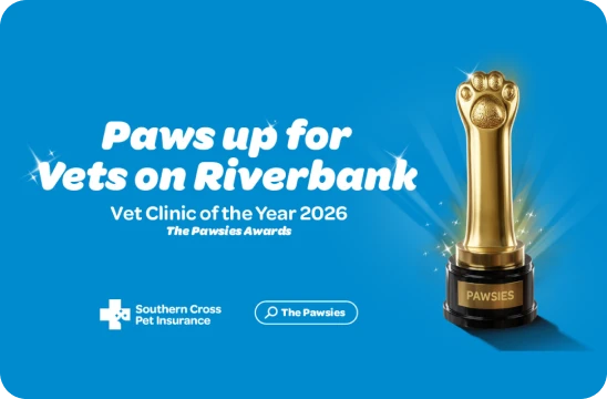 Vets on Riverbank, Otaki