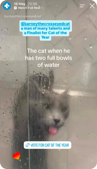 Pawsies social post 1