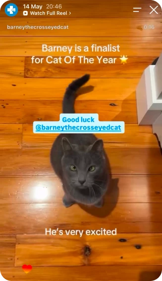 Pawsies social post 7