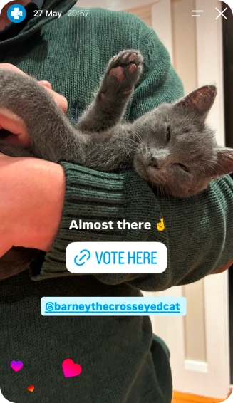 Pawsies social post 11