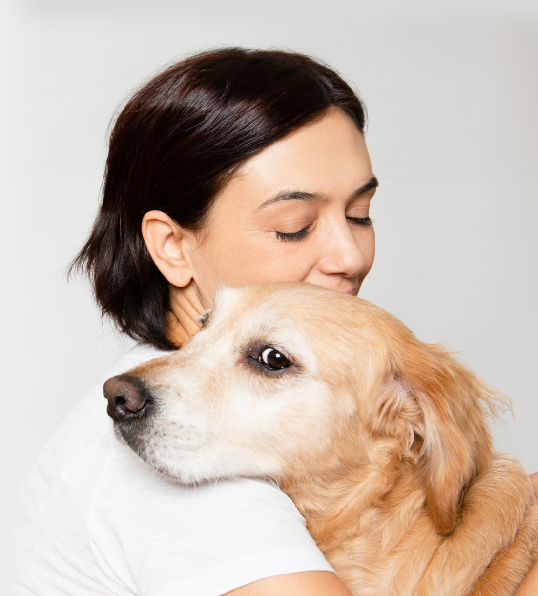 PetCare Insurance Plan Southern Cross Pet Insurance