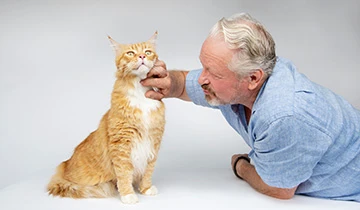 Managing anxiety in cats