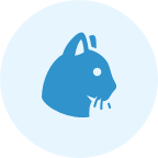 register cat icon