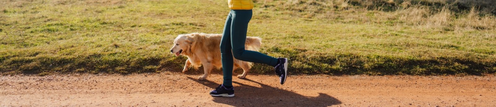 Keep your pets healthy in winter