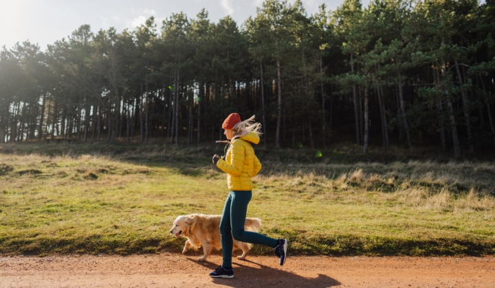 Keep your pets healthy in winter | Southern Cross Pet Insurance