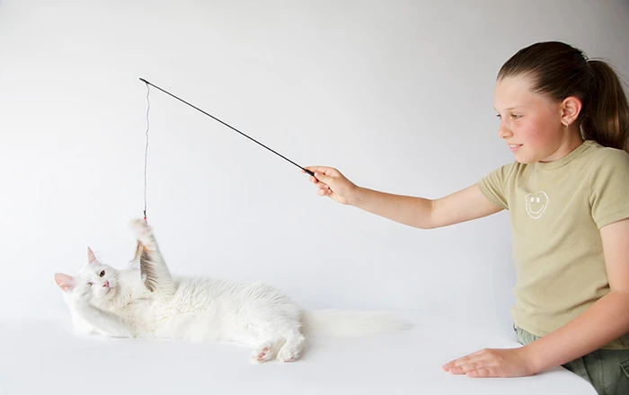 Use play to build confidence