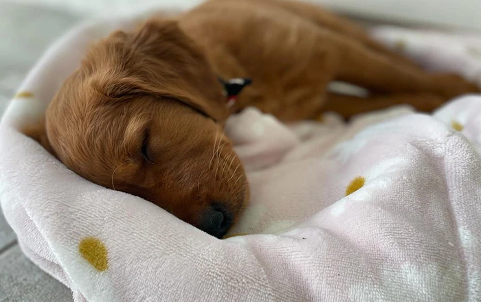 Provide quiet spaces to retreat to