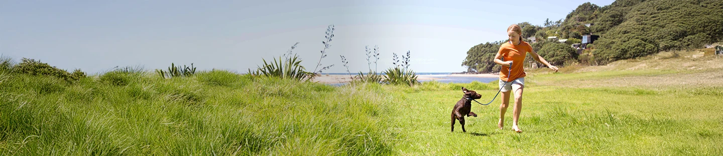 Showcase your bond with your pet