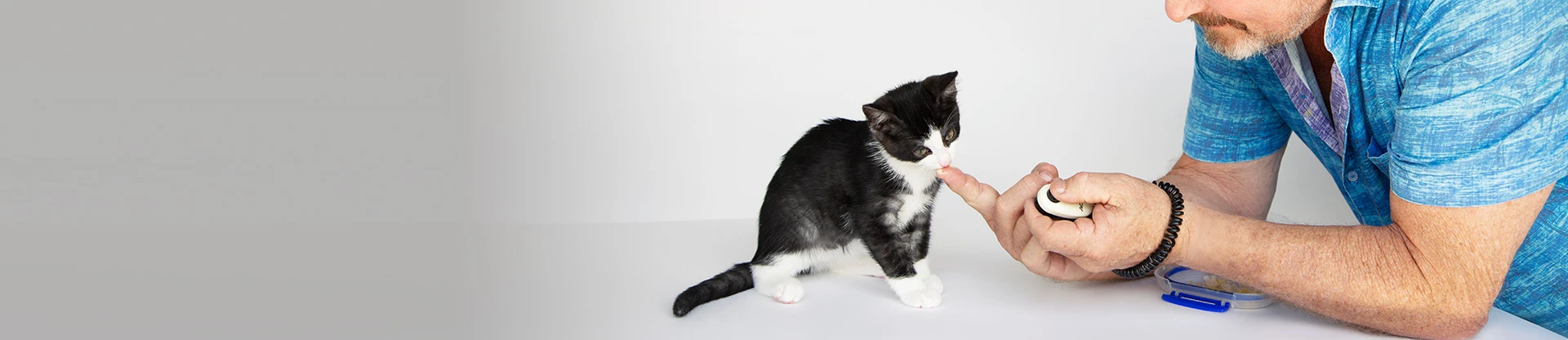 Kitten Essentials Checklist