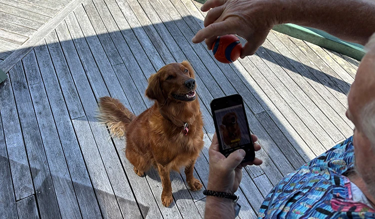 Great dog photo tips