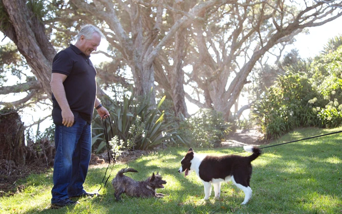 Introducing a new pet