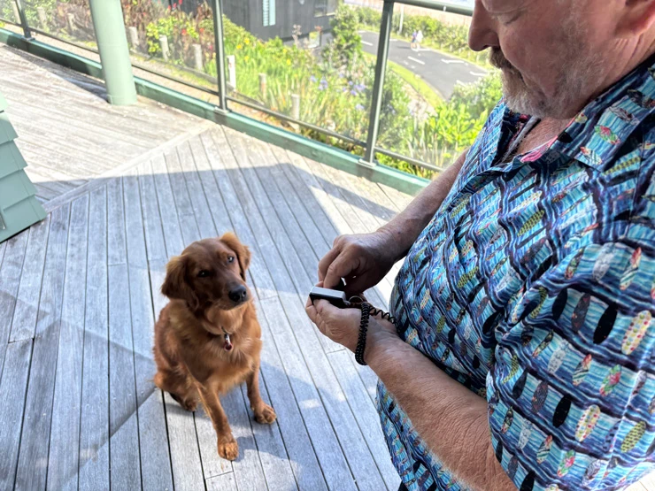 Use a clicker or marker word