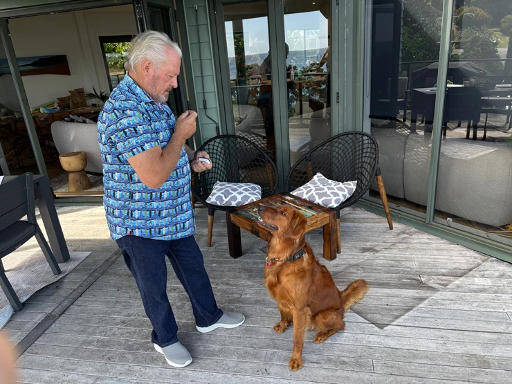 Use simple clear cues