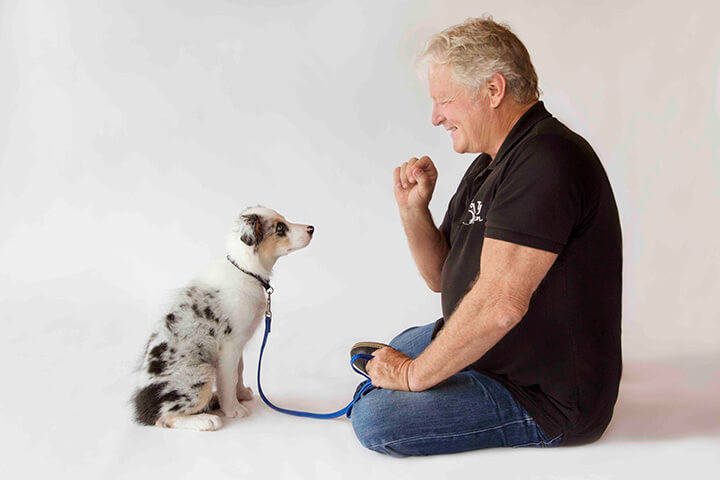 Mark luring pup into sit