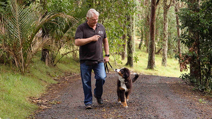 Mark walking dog in heel on driveway