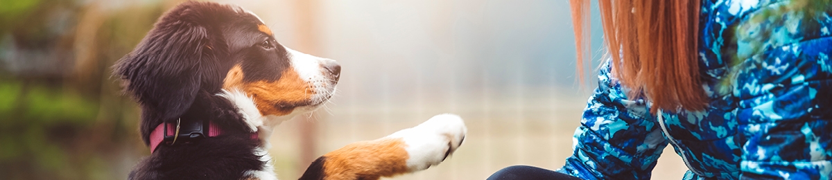 How to reinforce good behaviour