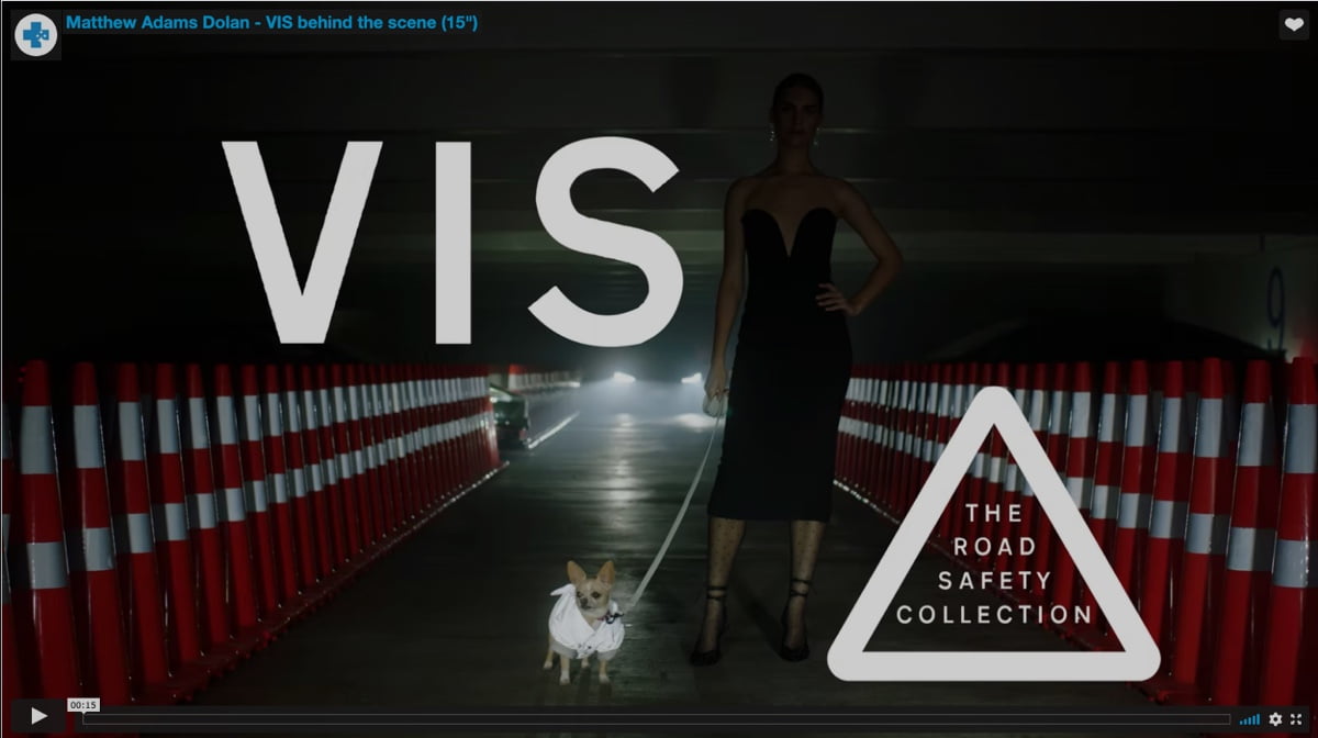 Insure and protect your dog or cat Southern Cross Pet Insurance