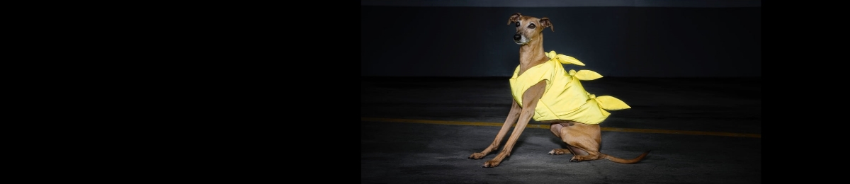 Behind the VIS road safety collection with Matthew Adams Dolan