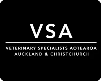 VSA
